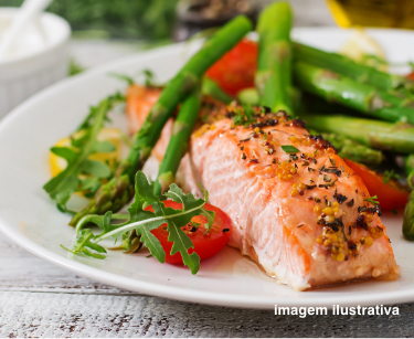 Prato de salmão ilustativo
